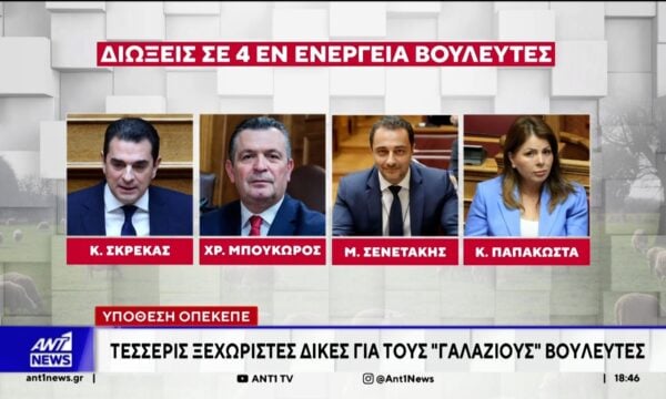 Υπόθεση ΟΠΕΚΕΠΕ: Τέσσερις ξεχωριστές δίκες για τους “γαλάζιους” βουλευτές