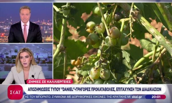 Ζημιές σε καλλιέργειες: Αποζημιώσεις τύπου “Daniel” – Γρήγορες προκαταβολές, επιτάχυνση των διαδικασιών