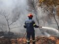 Φωτιά στο Γαζί Ηρακλείου: Πνέουν ισχυροί άνεμοι που φτάνουν τα 7 μποφόρ