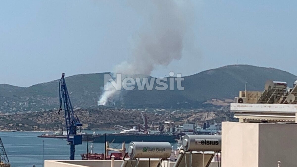 Φωτιά στη Σαλαμίνα στην περιοχή Σελίνια: Μηνύματα του 112 στους κατοίκους – «Απομακρυνθείτε προς παραλία» 5 Φωτιά στη Σαλαμίνα στην περιοχή Σελίνια: Μηνύματα του 112 στους κατοίκους – «Απομακρυνθείτε προς παραλία»