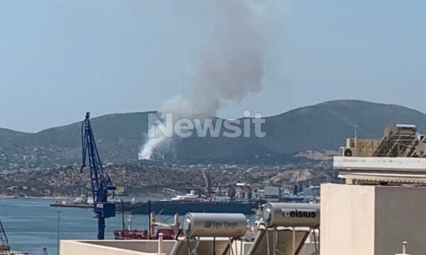 Φωτιά στη Σαλαμίνα στην περιοχή Σελίνια: Μηνύματα του 112 στους κατοίκους – «Απομακρυνθείτε προς παραλία»