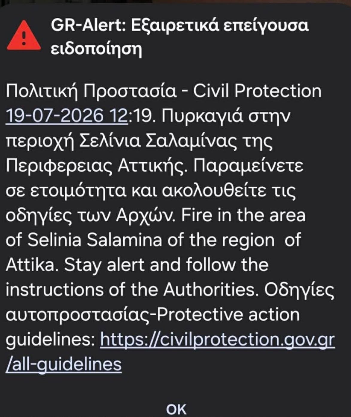 Φωτιά στη Σαλαμίνα στην περιοχή Σελίνια: Μηνύματα του 112 στους κατοίκους – «Απομακρυνθείτε προς παραλία» 13 Φωτιά στη Σαλαμίνα στην περιοχή Σελίνια: Μηνύματα του 112 στους κατοίκους – «Απομακρυνθείτε προς παραλία»