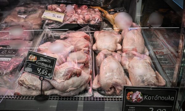 Λαμία: Εντοπίστηκε ο προμηθευτής των κοτόπουλων που φαίνεται να προκάλεσαν τα κρούσματα σαλμονέλας