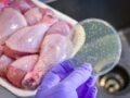 Λαμία: Εξιτήρια παίρνουν οι ασθενείς που κατανάλωσαν κοτόπουλα μολυσμένα από σαλμονέλα – Αναμένονται και άλλα κρούσματα