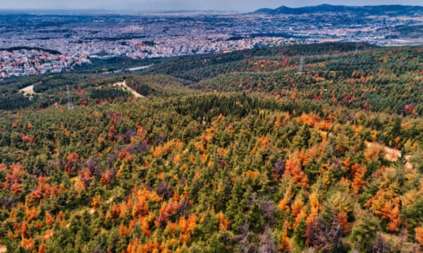 Θεσσαλονίκη σε πορτοκαλί συναγερμό για πυρκαγιές: Απαγόρευση κυκλοφορίας σε Σέιχ Σου, Πανόραμα, Θέρμη, Ωραιόκαστρο και Κιλκίς