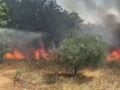 Δύο συλλήψεις για τη φωτιά στις Οινούσσες Σερρών – Το αυτοκίνητο βγήκε εκτός δρόμου, χτύπησε στο έδαφος και προκάλεσε σπίθες