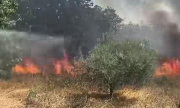 Δύο συλλήψεις για τη φωτιά στις Οινούσσες Σερρών – Το αυτοκίνητο βγήκε εκτός δρόμου, χτύπησε στο έδαφος και προκάλεσε σπίθες