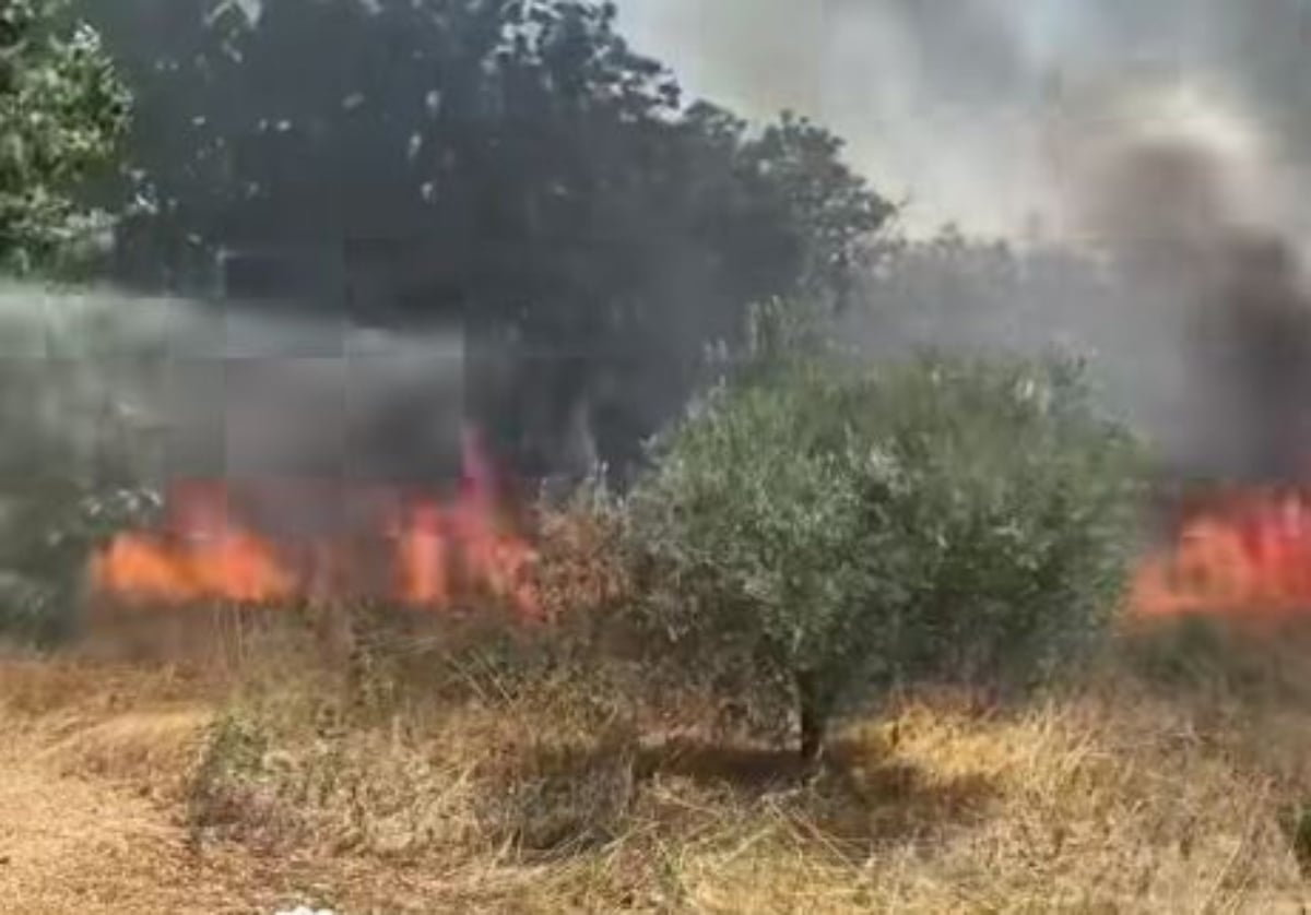 Δύο συλλήψεις για τη φωτιά στις Οινούσσες Σερρών – Το αυτοκίνητο βγήκε εκτός δρόμου, χτύπησε στο έδαφος και προκάλεσε σπίθες