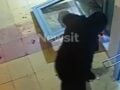 Συμμορία που ανατίναζε ΑΤΜ και έκλεβε αυτοκίνητα: Βίντεο ντοκουμέντα – Συνελήφθη αρχηγικό μέλος