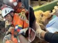 Βενεζουέλα: Σκυλάκι σώθηκε έπειτα από 5 μέρες κάτω από τα ερείπια – Βίντεο