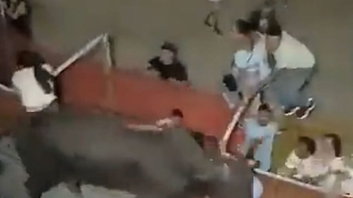 Τρόμος σε Κολομβία και Ισπανία: Μαινόμενοι ταύροι εισέβαλαν στις κερκίδες και τραυμάτισαν θεατές 1 Τρόμος σε Κολομβία και Ισπανία: Μαινόμενοι ταύροι εισέβαλαν στις κερκίδες και τραυμάτισαν θεατές