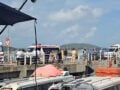 Τραγωδία στο Βιετνάμ: 15 νεκροί Ινδοί τουρίστες έπειτα από ανατροπή σκάφους – ΒΙΝΤΕΟ