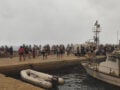 Φωτιά στη Βοιωτία: Εικόνες αποκάλυψης στο Καλαμάκι – Τεράστια επιχείρηση εκκένωσης από τη θάλασσα