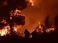 Πύρινη λαίλαπα στη Βοιωτία: Ανεξέλεγκτα τα μέτωπα σε Πόρτο Γερμενό και Δομβραίνα, οι φλόγες απειλούν σπίτια