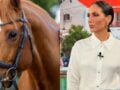 Ανθή Βούλγαρη: «Το άλογό μου έφυγε αβοήθητο κάτω από μια ελιά…» – Δημόσια έκκληση (Βίντεο)