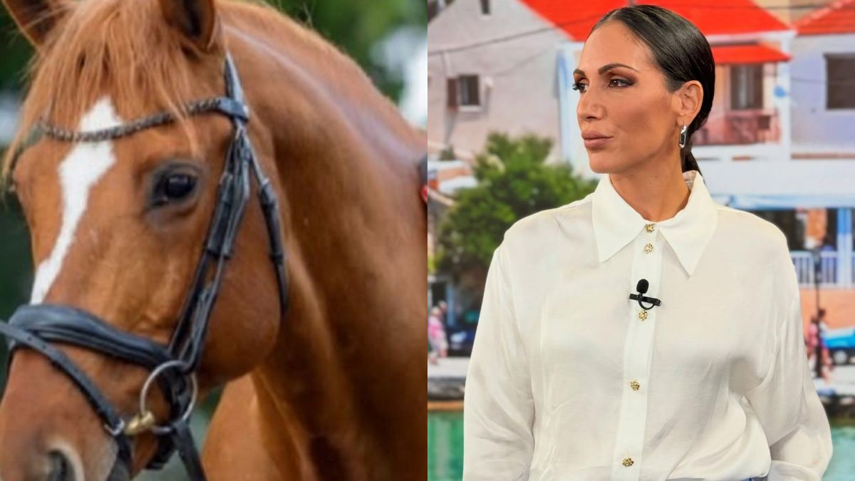 Ανθή Βούλγαρη: «Το άλογό μου έφυγε αβοήθητο κάτω από μια ελιά…» – Δημόσια έκκληση (Βίντεο)