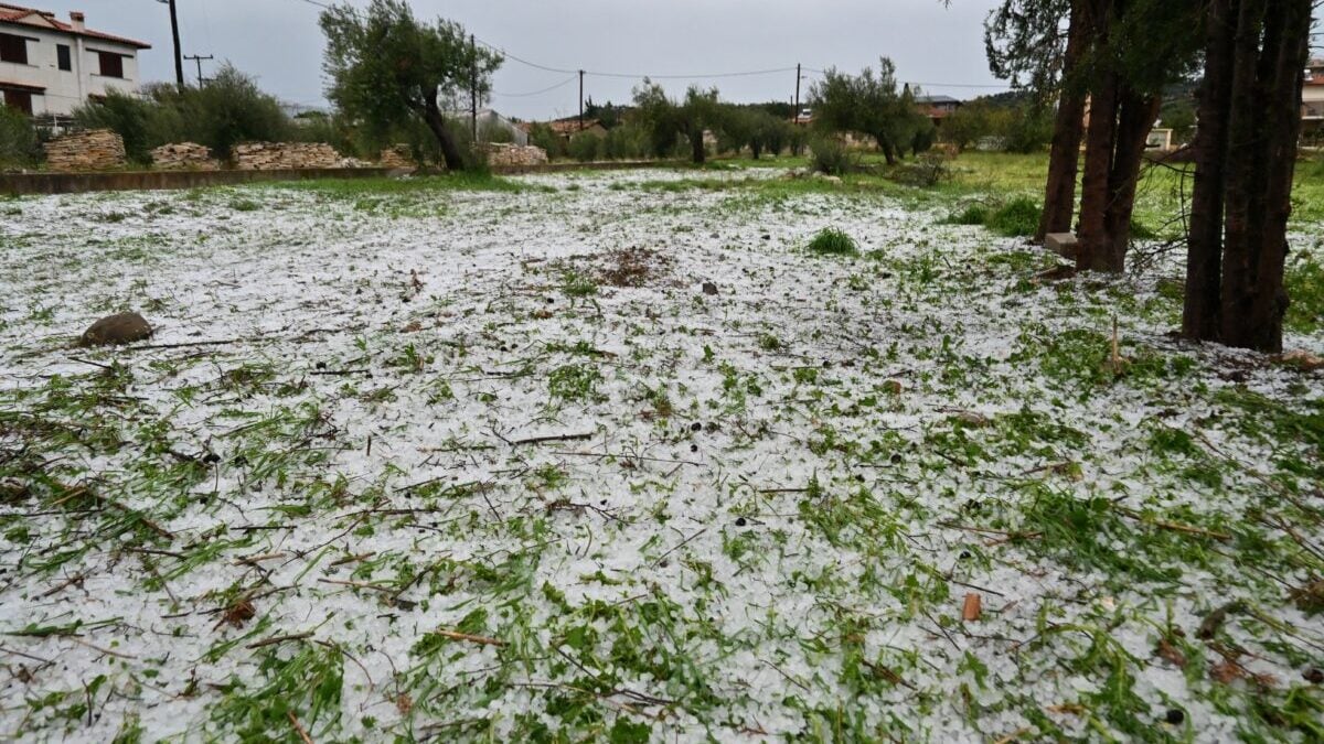Γρεβενά: Χαλάζι σε μέγεθος κορόμηλου χτυπά την περιοχή – βίντεο από την Εγνατία Οδό 1 Γρεβενά: Χαλάζι σε μέγεθος κορόμηλου χτυπά την περιοχή – βίντεο από την Εγνατία Οδό