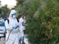 Ιός του Δυτικού Νείλου: Νέα κρούσματα σε 13 δήμους – Συνεχίζονται οι ψεκασμοί, αναμένεται αποκλιμάκωση τις επόμενες εβδομάδες 