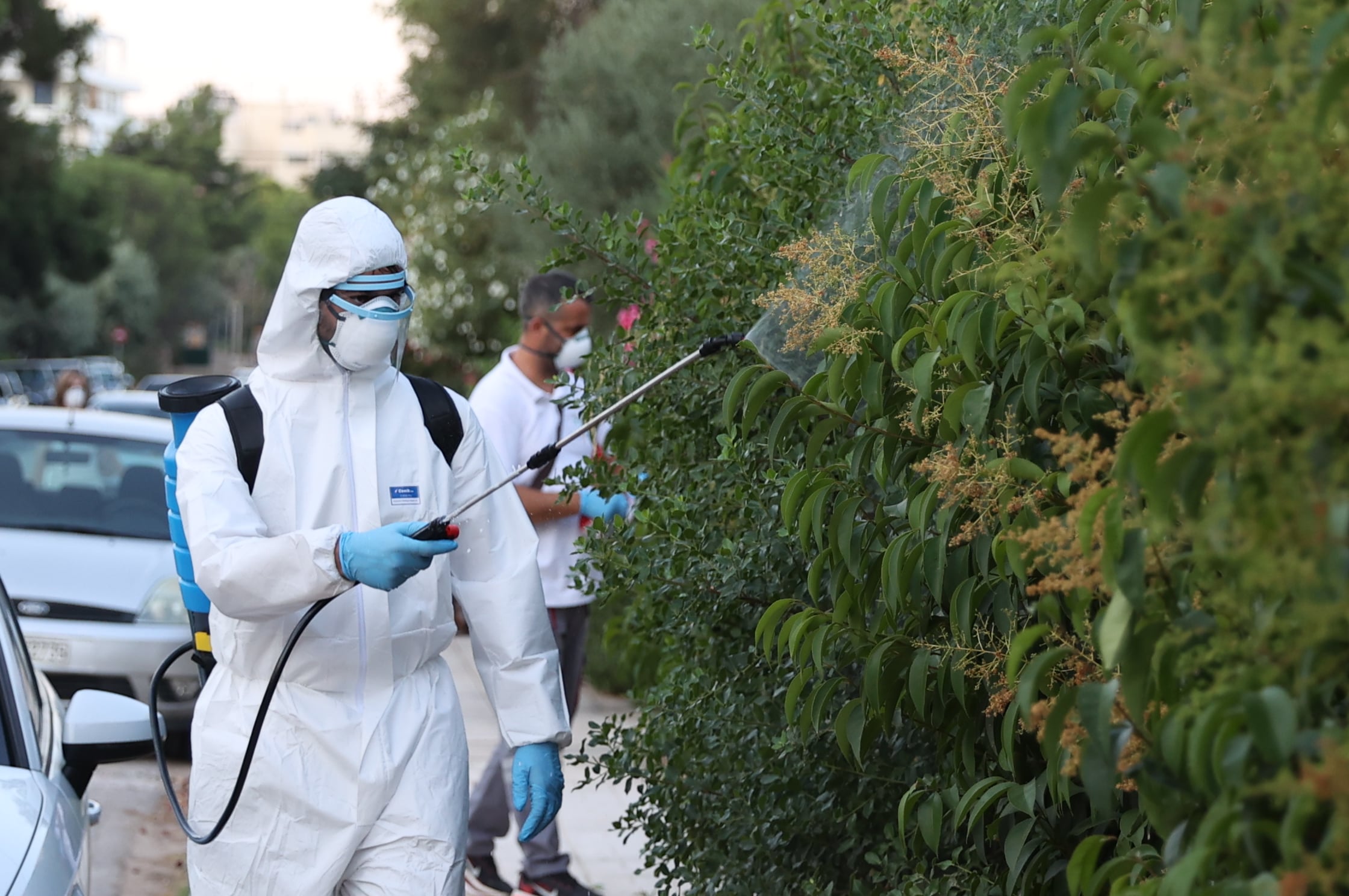 Ιός του Δυτικού Νείλου: Νέα κρούσματα σε 13 δήμους – Συνεχίζονται οι ψεκασμοί, αναμένεται αποκλιμάκωση τις επόμενες εβδομάδες