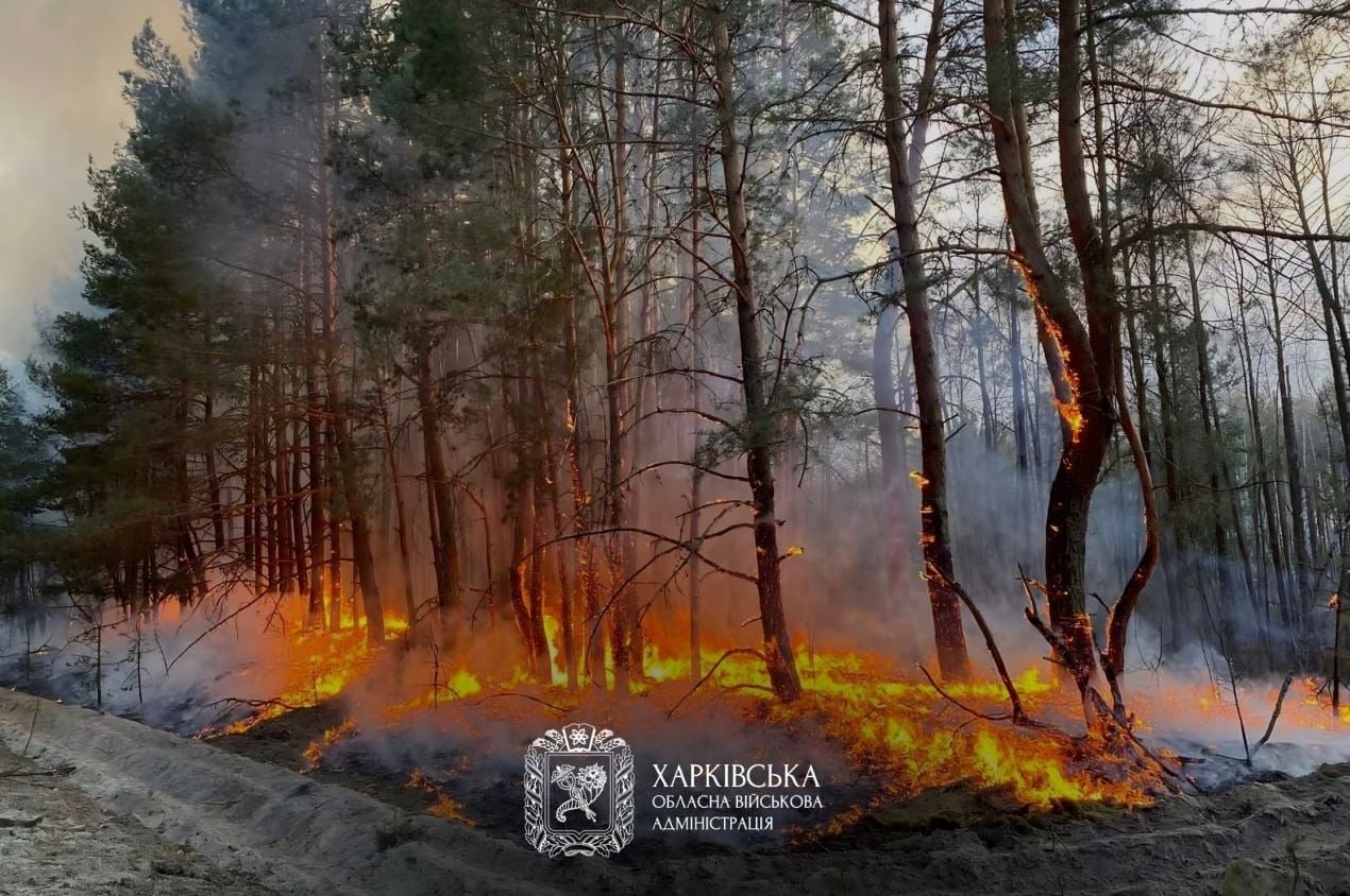 Ουκρανία: 11 νεκροί και 93 τραυματίες από σφυροκόπημα με εκατοντάδες drones, βόμβες και πυραύλους 10 Φωτιά μαίνεται σε δασική έκταση στην περιφέρεια Χαρκόβου. Φωτογραφία: Περιφερειακή Στρατιωτική Διοίκηση Χαρκόβου