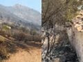 Φωτιά: Όλα έγιναν στάχτη, αλλά αυτό που αντίκρισε στο εκκλησάκι τον άφησε άφωνο (Βίντεο)