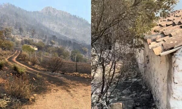 Φωτιά: Όλα έγιναν στάχτη, αλλά αυτό που αντίκρισε στο εκκλησάκι τον άφησε άφωνο (Βίντεο)