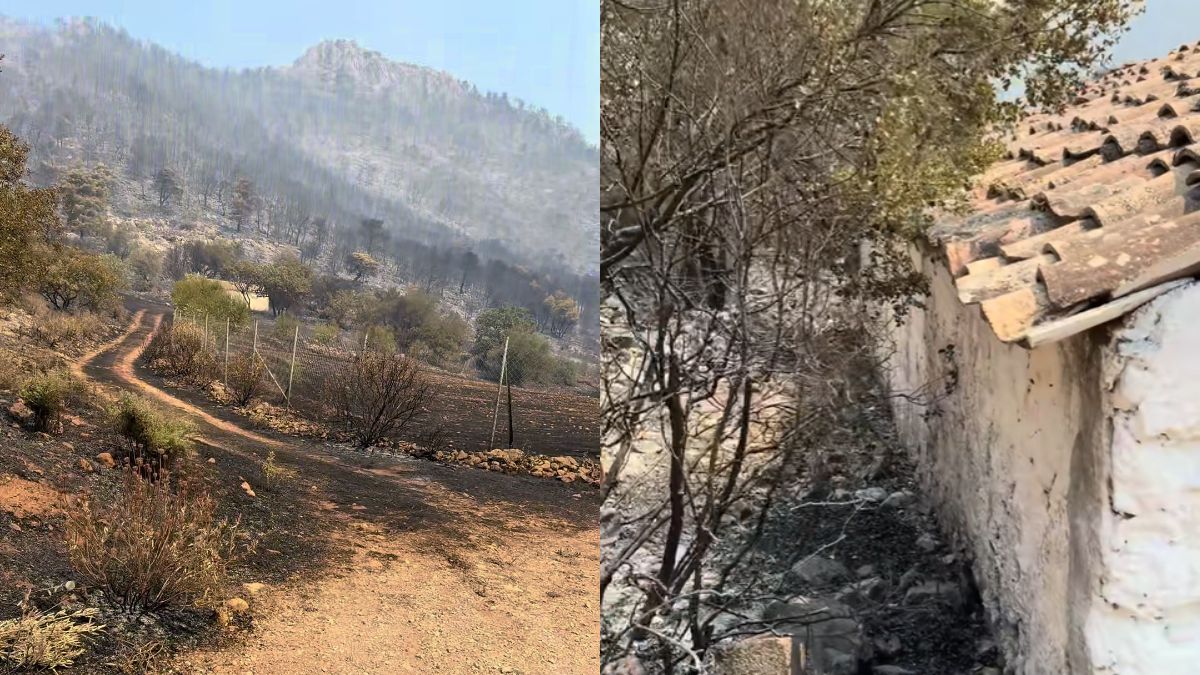 Φωτιά: Όλα έγιναν στάχτη, αλλά αυτό που αντίκρισε στο εκκλησάκι τον άφησε άφωνο (Βίντεο)