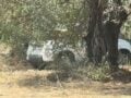 Ό,τι γίνεται στη Λευκάδα μένει στη… Λευκάδα! «Σεισμός» πολλών Ρίχτερ μέσα σε ΙΧ κάτω από τις ελιές