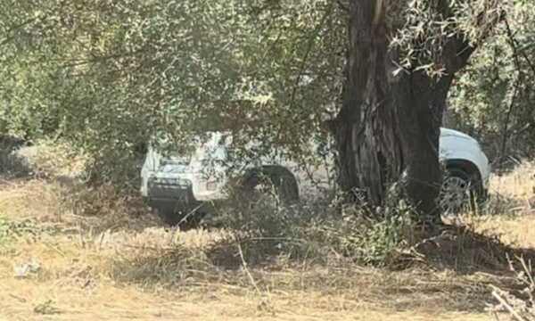 Λευκάδα: «Σεισμός» πολλών Ρίχτερ μέσα σε ΙΧ κάτω από τις ελιές