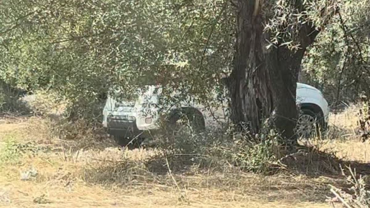 Λευκάδα: «Σεισμός» πολλών Ρίχτερ μέσα σε ΙΧ κάτω από τις ελιές