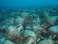 National Geographic Πολωνίας αποθεώνει την Αλόννησο για το οικοσύστημα και τους χαλαρούς ρυθμούς κοντά στη φύση