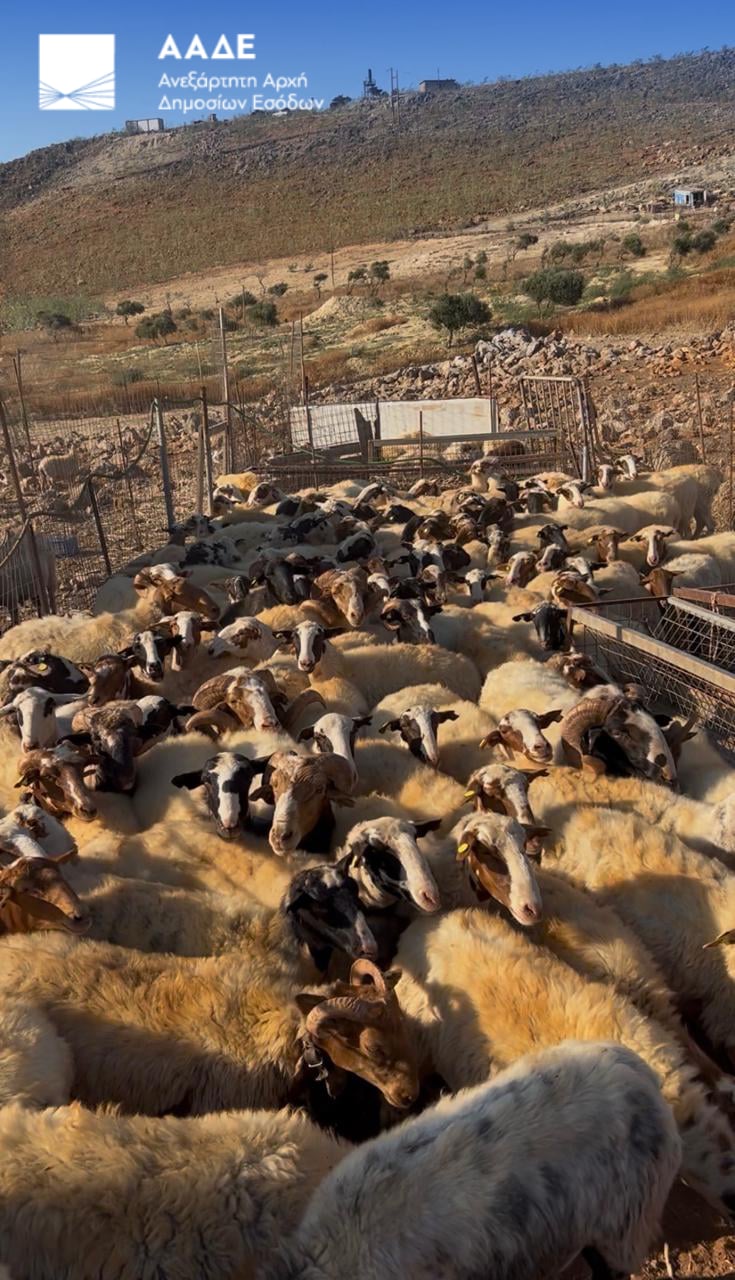 ΑΑΔΕ, Έλεγχοι, Κρήτη, Κτηνοτρόφοι, αγροτικές επιδοτήσεις