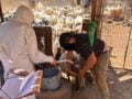 ΑΑΔΕ: Πρώτος μαζικός έλεγχος στην Κρήτη για αγροτικές επιδοτήσεις – Προσήλθαν μόνο 75 από τους 195 κτηνοτρόφους