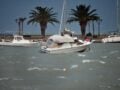 Καιρός: Θυελλώδεις άνεμοι με ριπές έως 80 χλμ/ώρα και «Red Code» σε 6 περιοχές για κίνδυνο πυρκαγιάς