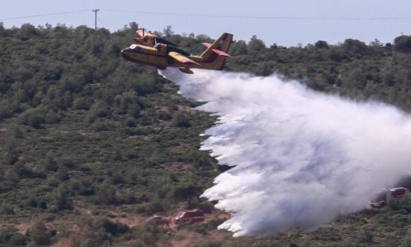 Φωτιά στα Τρίκαλα στο Γενέσι: Επιχειρούν 2 αεροσκάφη