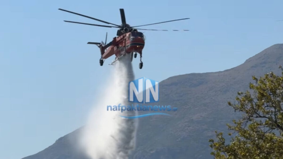 Φωτιά στην Αιτωλοακαρνανία: Μεγάλη κινητοποίηση της πυροσβεστικής στο Θέρμο 1 Φωτιά στην Αιτωλοακαρνανία: Μεγάλη κινητοποίηση της πυροσβεστικής στο Θέρμο