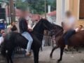 Λέσβος: Άλογα «χορεύουν» πάνω σε σπασμένα μπουκάλια σε πανηγύρι, βίντεο