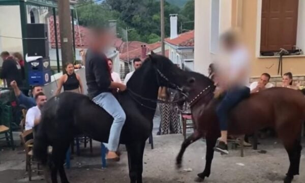 Λέσβος: Άλογα «χορεύουν» πάνω σε σπασμένα μπουκάλια σε πανηγύρι, βίντεο
