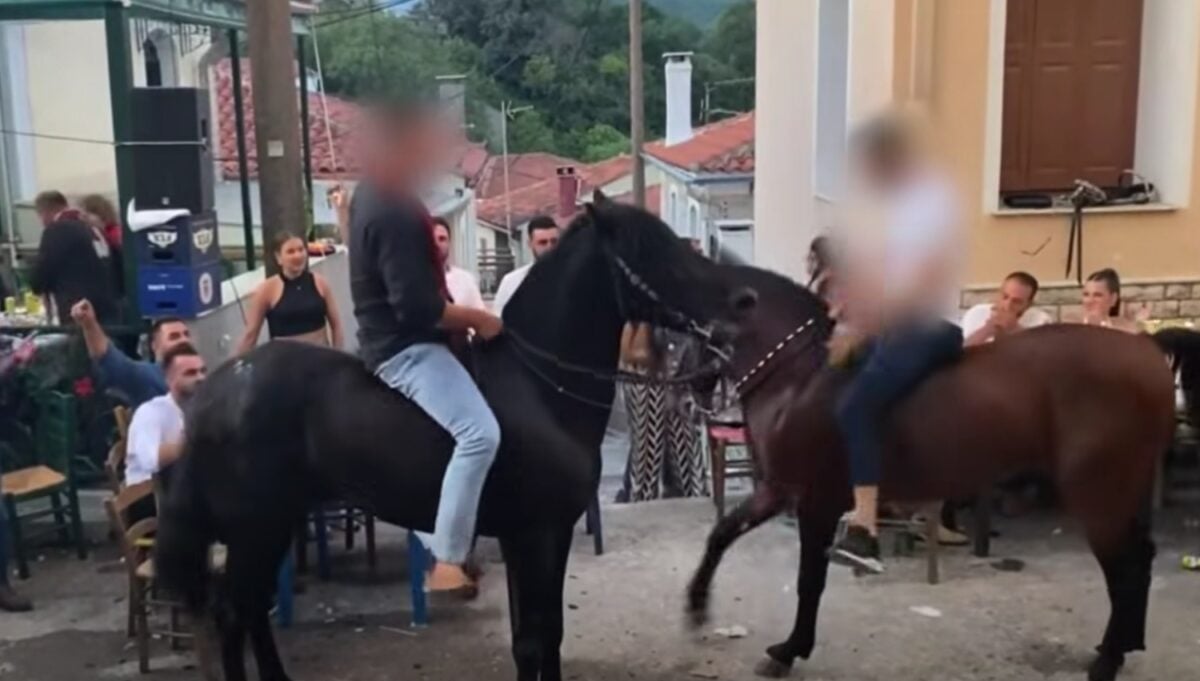 Λέσβος: Άλογα «χορεύουν» πάνω σε σπασμένα μπουκάλια σε πανηγύρι, βίντεο