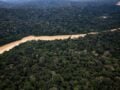 Βραζιλία: Σε χαμηλό δεκαετίας η αποψίλωση στον Αμαζόνιο – Μειώθηκε κατά 37%