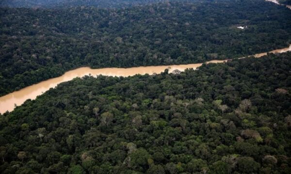 Βραζιλία: Αποψίλωση στον Αμαζόνιο σε χαμηλό δεκαετίας – Μειώθηκε κατά 37%