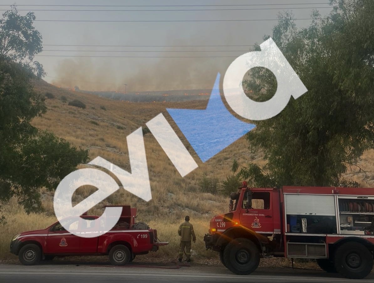 Εύβοια: Συναγερμός στην Πυροσβεστική για δύο πυρκαγιές 7 Εύβοια: Συναγερμός στην Πυροσβεστική για δύο πυρκαγιές