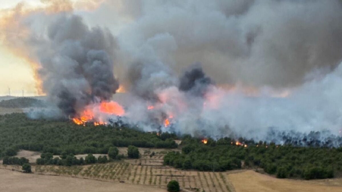 Ισπανία: 25.000 εκτάρια στις φλόγες στην Ανδαλουσία, εκατοντάδες άνθρωποι εγκατέλειψαν τα σπίτια τους 1 Ισπανία: 25.000 εκτάρια στις φλόγες στην Ανδαλουσία, εκατοντάδες άνθρωποι εγκατέλειψαν τα σπίτια τους