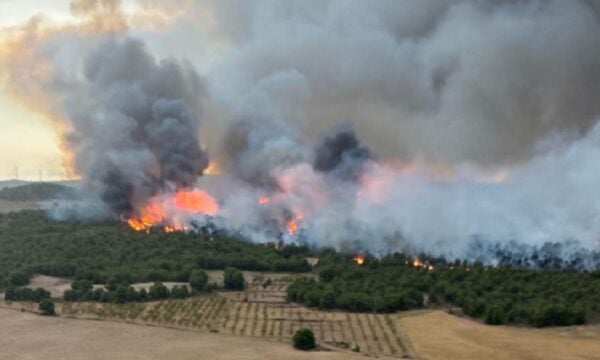 Ισπανία: 25.000 εκτάρια στις φλόγες στην Ανδαλουσία, εκατοντάδες άνθρωποι εγκατέλειψαν τα σπίτια τους