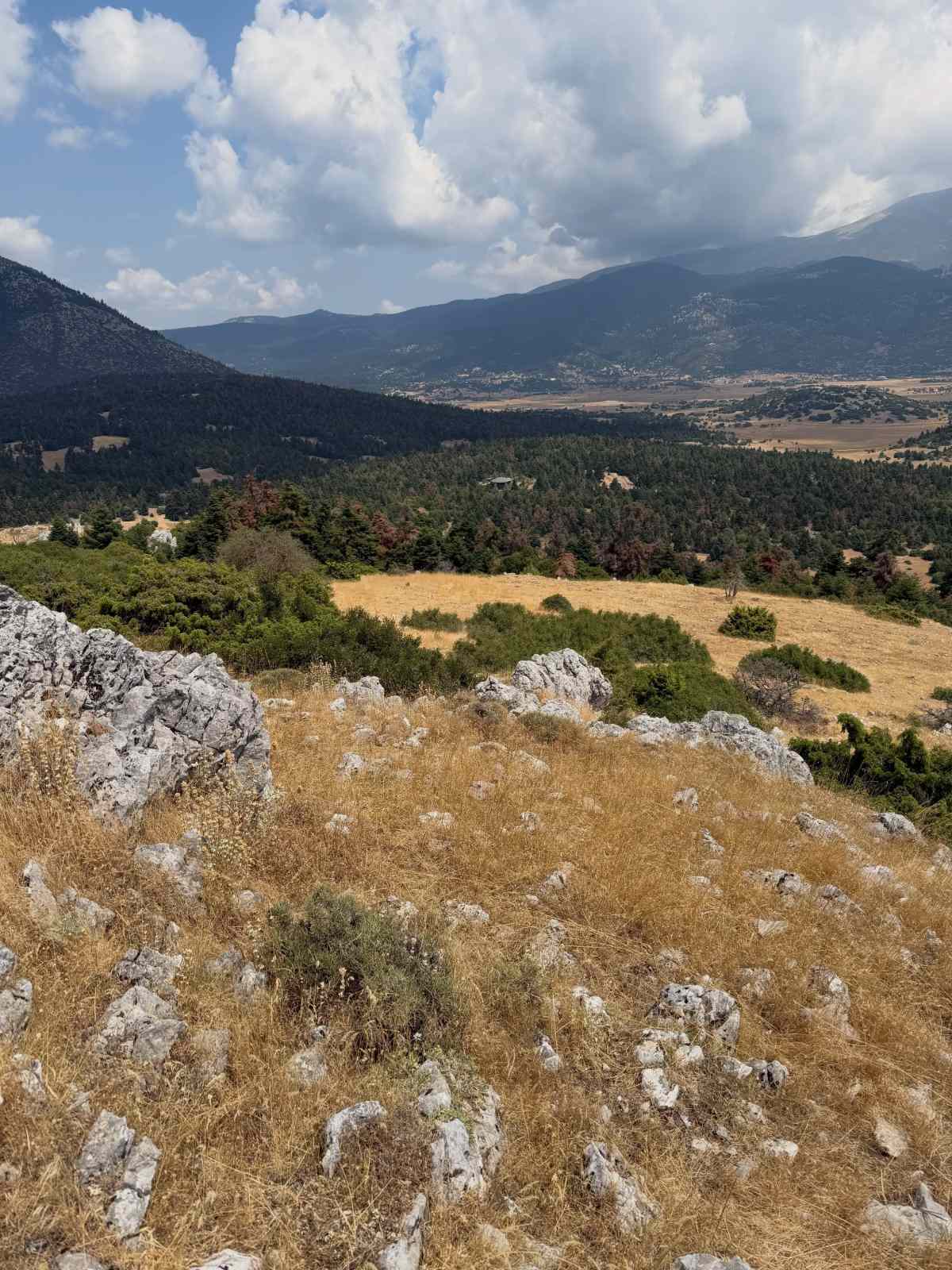 Μαρία Ελένη Λυκουρέζου: «Τα τελευταία 9 χρόνια ο Αύγουστος με ζορίζει» – Συγκινεί με την εξομολόγησή της 41 Μαρία Ελένη Λυκουρέζου