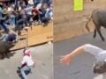 Βίντεο: 2 νεκροί και 11 τραυματίες από μανιασμένους ταύρους σε φεστιβάλ στο Μεξικό – «Πότε η παράδοση γίνεται βία και αμέλεια;»