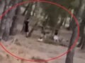 Challenge ανηλίκων μέσα σε δάσος στη λεωφόρο Πεντέλης – Βάζουν φωτιά και μετά προσπαθούν να τη σβήσουν