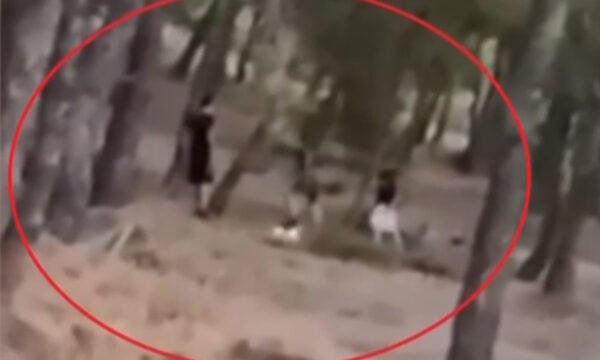 Challenge ανηλίκων μέσα σε δάσος στη λεωφόρο Πεντέλης – Βάζουν φωτιά και μετά προσπαθούν να τη σβήσουν