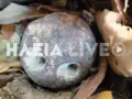 Αρχαία Ολυμπία: Βρήκε μπάλα κανονιού του 1800 στην αυλή της – Πιθανή η σύνδεσή της με την Ελληνική Επανάσταση