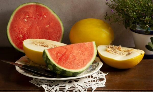 Καρπούζι vs Πεπόνι: Ποιο είναι καλύτερο για τον έλεγχο σακχάρου στο αίμα, σύμφωνα με ειδικούς